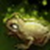 image.png.e06577a0ed3314ed779bb2c3a1d1aa67.png